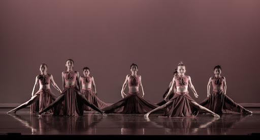 Dance School «Infinity Dance Studio», reviews and photos, 5817 Cottle Rd, San Jose, CA 95123, USA