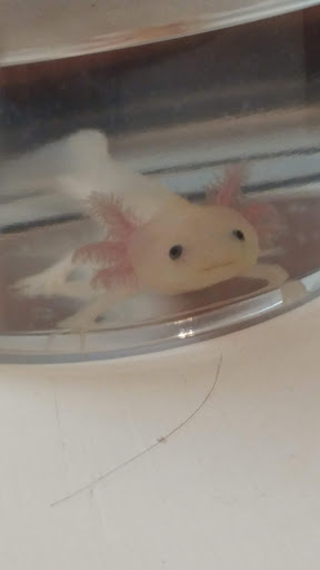 Pet Supply Store «Pet Supplies Plus», reviews and photos, 209 Towne Dr, Elizabethtown, KY 42701, USA