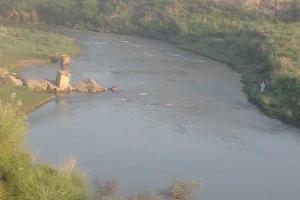 Haro River image