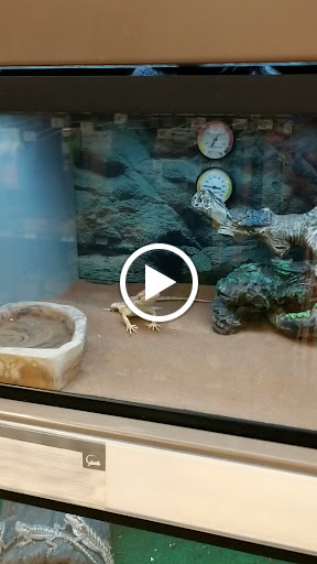 Pet Supply Store «Petco Animal Supplies», reviews and photos, 3637 2700 W, West Valley City, UT 84119, USA