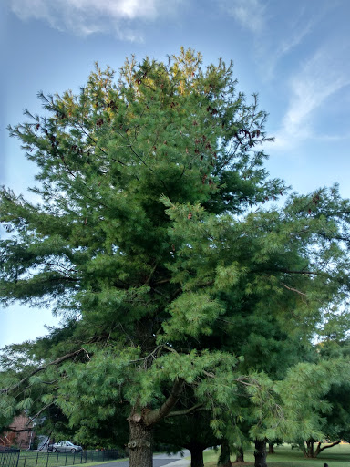 Park «Des Pres Park», reviews and photos, 4709 Lowe Rd, Louisville, KY 40220, USA