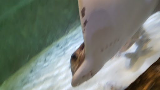 Aquarium «Aquarium of Boise», reviews and photos, 64 N Cole Rd, Boise, ID 83704, USA