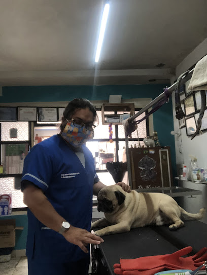 Servicios veterinarios Dr Moreletii
