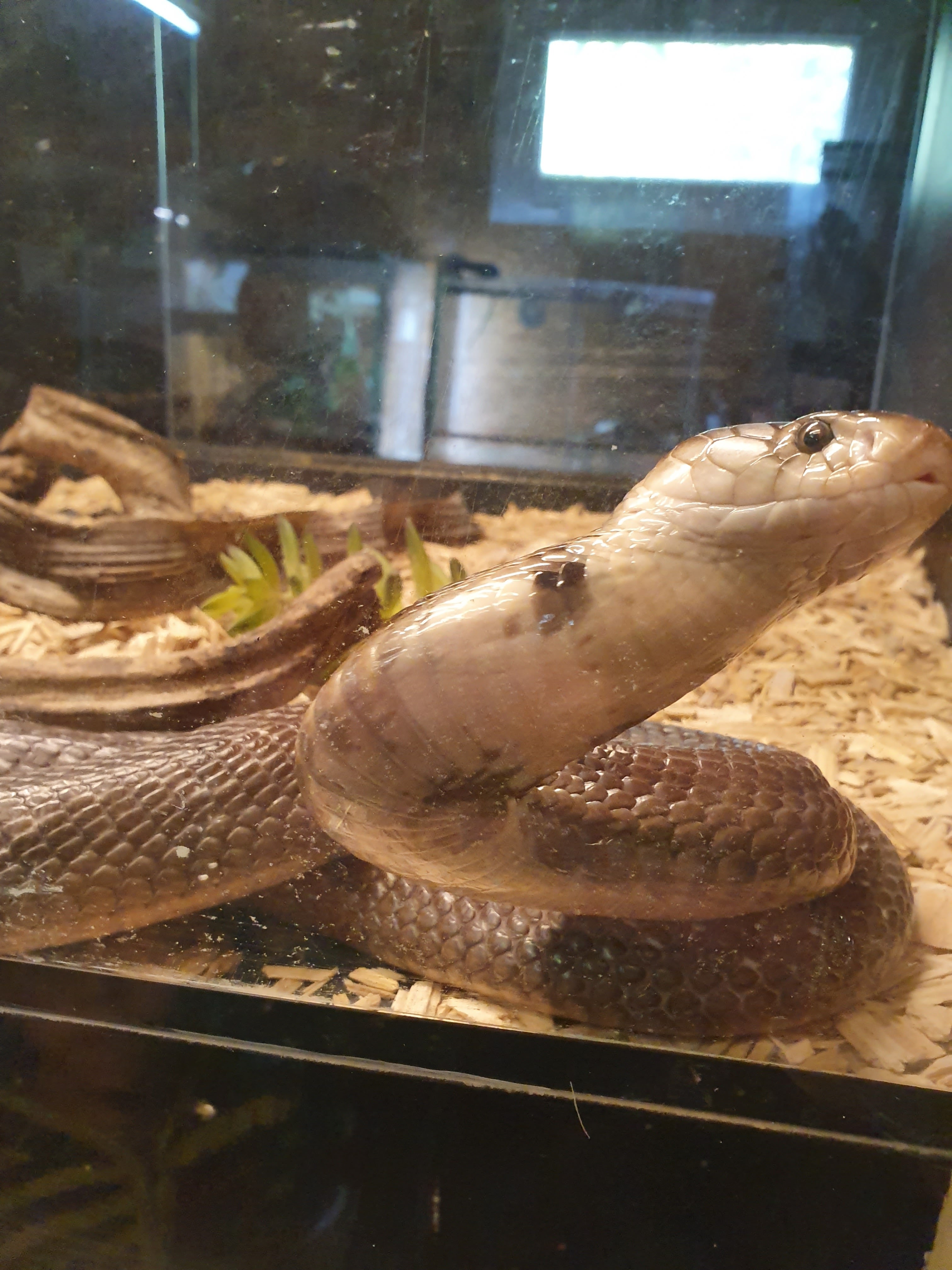 Photo n° 8 de l'avis de Laetitia.o fait le 20/10/2019 à 17:56