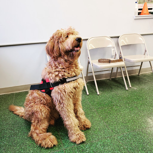 Pet Supply Store «Pet Evolution - Pet Food | Dog Wash | Grooming», reviews and photos, 429 Commerce Dr, Woodbury, MN 55125, USA