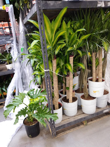 Home Improvement Store «The Home Depot», reviews and photos, 1771 N 19th Ave, Bozeman, MT 59718, USA