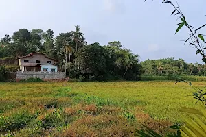 Paddy Field View Resort image