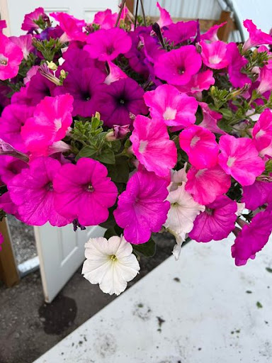 Florist «TG Designs», reviews and photos, 19231 Longmeadow Rd, Hagerstown, MD 21742, USA