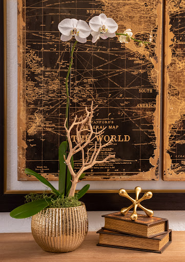 Florist «The Orchid House», reviews and photos, 2265 Coral Way, Miami, FL 33145, USA