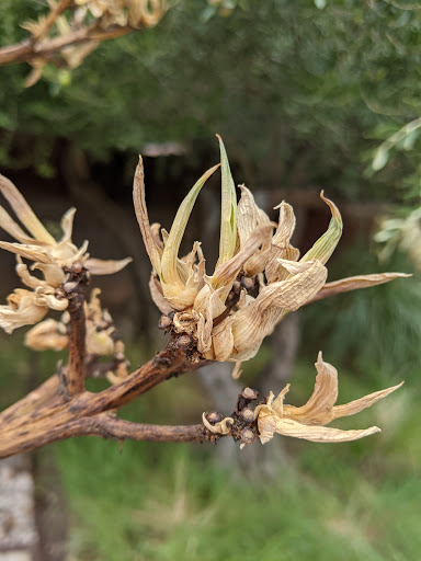 Park «Daley Park», reviews and photos, 1625 S College Ave, Tempe, AZ 85281, USA