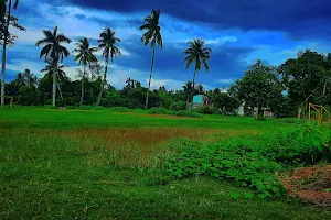 Bawali Chiriakhana Field image