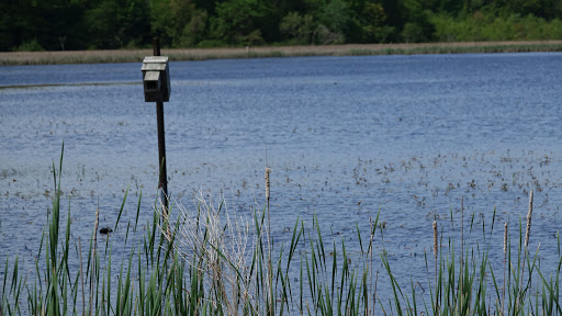 Wildlife Refuge «Great Meadows National Wildlife Refuge», reviews and photos, 73 Weir Hill Rd, Sudbury, MA 01776, USA