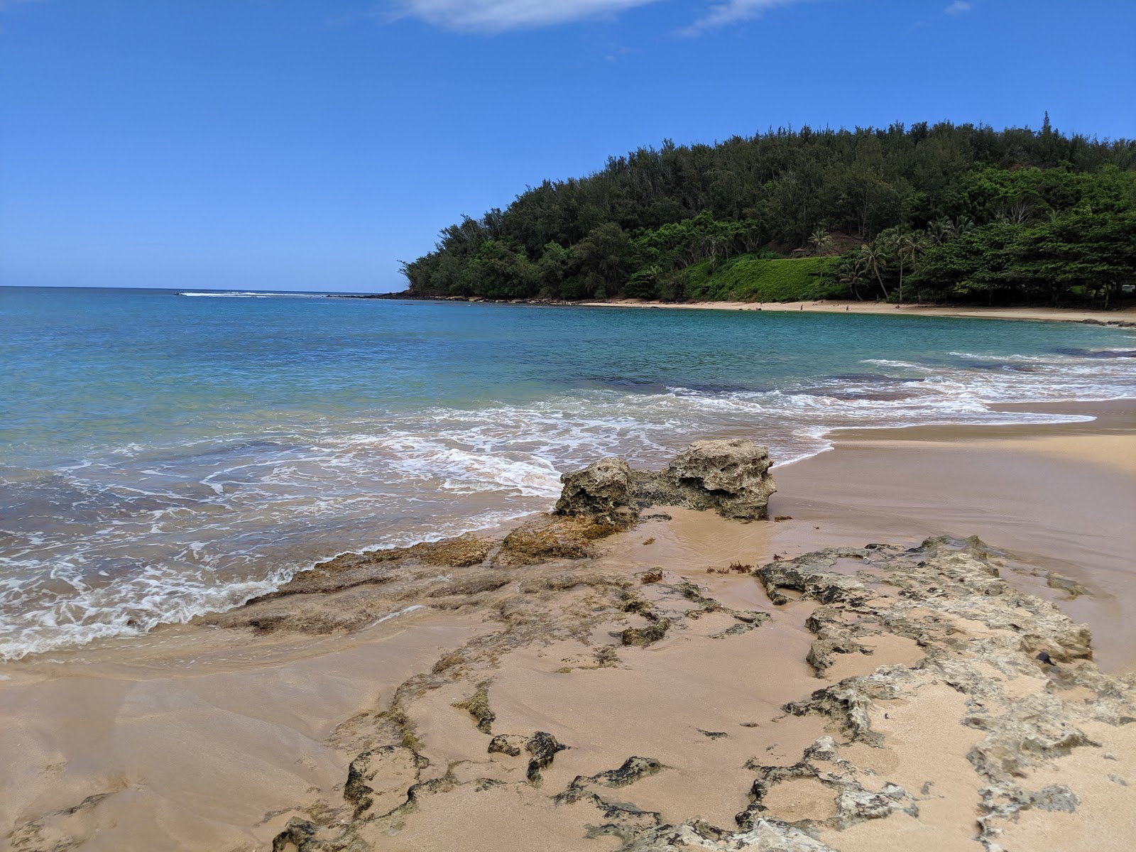 Foto van Moloa'a Beach met turquoise puur water oppervlakte