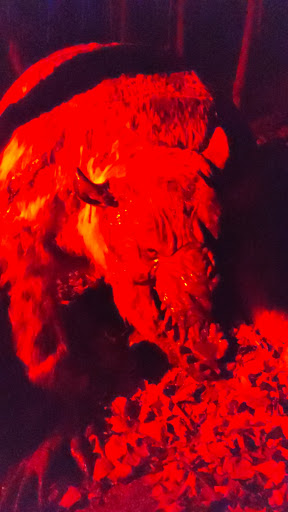 Theme Park «Lake Compounce», reviews and photos, 186 Enterprise Dr, Bristol, CT 06010, USA