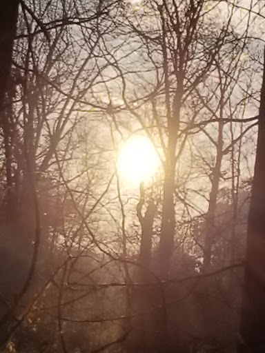 Car Repair and Maintenance «Midas», reviews and photos, 920 Route 46 East, Kenvil, NJ 07847, USA