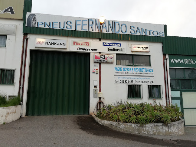 Pneus Fernando Santos