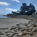 Photo n° 1 de l'avis de david.r fait le 12/07/2020 à 10:05 pour Plage de Kerbihan à La Trinité-sur-Mer