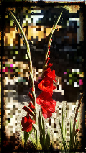 Dollar Store «Dollar Tree», reviews and photos, 1350 S Park Victoria Dr #10, Milpitas, CA 95035, USA