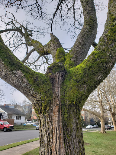 Community Center «St Johns Community Center», reviews and photos, 8427 N Central St, Portland, OR 97203, USA