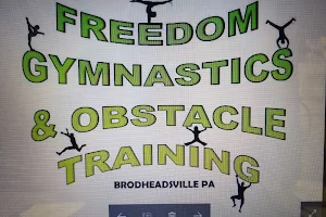 Freedom Gymnastics and Obstacle Training image