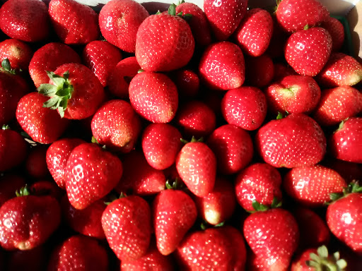 Produce Market «Marketplace Produce», reviews and photos, 11403 Seminole Blvd, Largo, FL 33778, USA