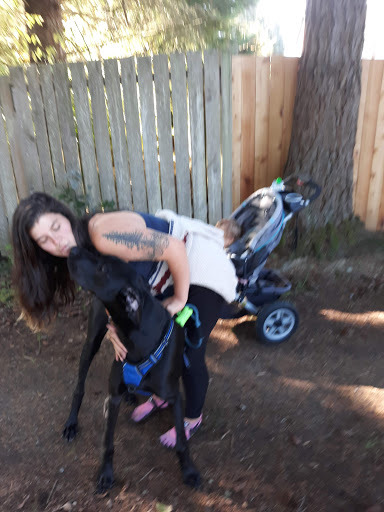 Golf Club «Meadowmeer Golf & Country Club», reviews and photos, 8530 Renny Ln NE, Bainbridge Island, WA 98110, USA