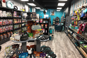 House of Paws Pet Boutique