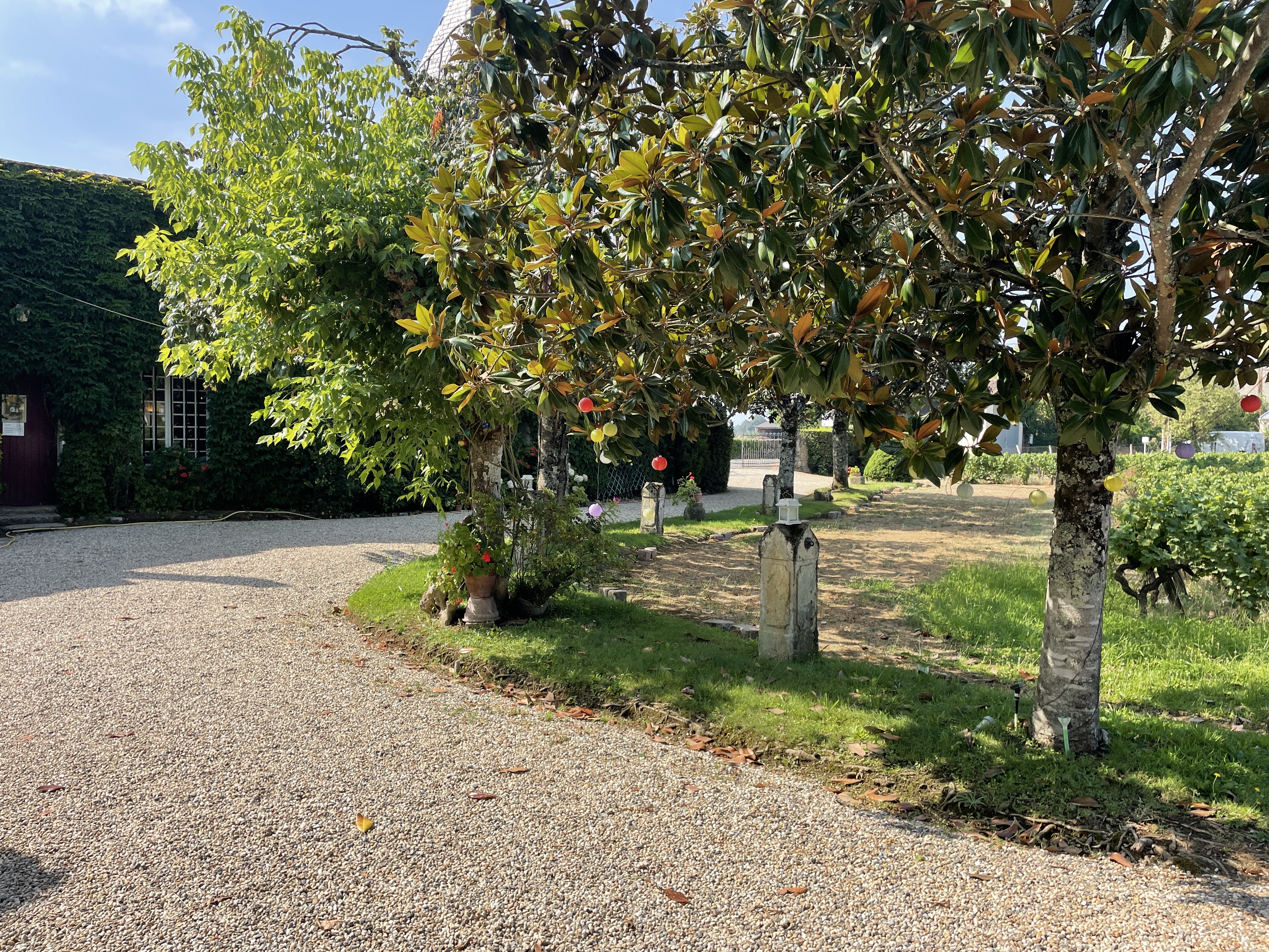 Photo n° 3 de l'avis de Léo. fait le 13/08/2022 à 15:39