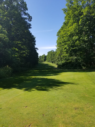 Public Golf Course «Sugar Loaf The Old Course», reviews and photos, 4512 S Town Line Rd, Cedar, MI 49621, USA