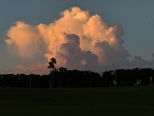 Amphitheater «Cole Park Amphitheater», reviews and photos, 1526 Ocean Dr, Corpus Christi, TX 78404, USA