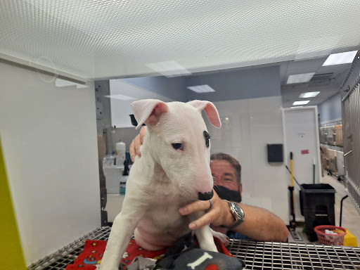 Pet Store «Petland Topeka», reviews and photos, 1801 SW Wanamaker Rd, Topeka, KS 66614, USA