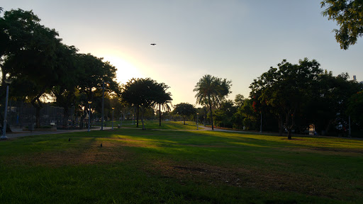 Parks go with dogs Tel Aviv