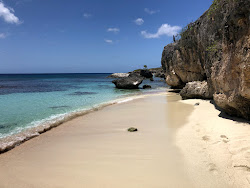 Wayaka Beach'in fotoğrafı doğal alan içinde bulunmaktadır
