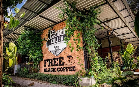 Caligo Coffee Factory image