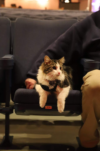 Movie Theater «Allen Theater & Coffee House», reviews and photos, 36 E Main St, Annville, PA 17003, USA