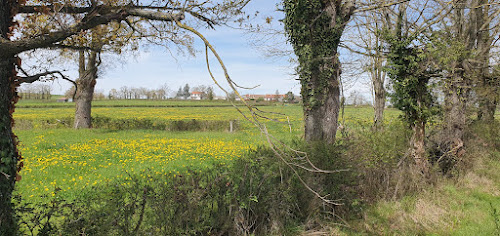 Centre de loisirs des Réaux à Montluçon