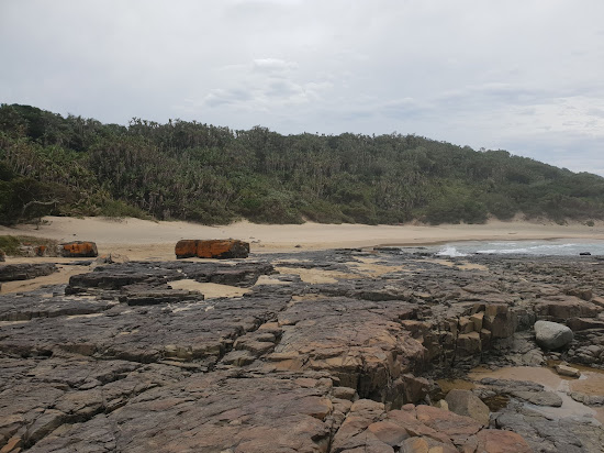 Jacaranda beach