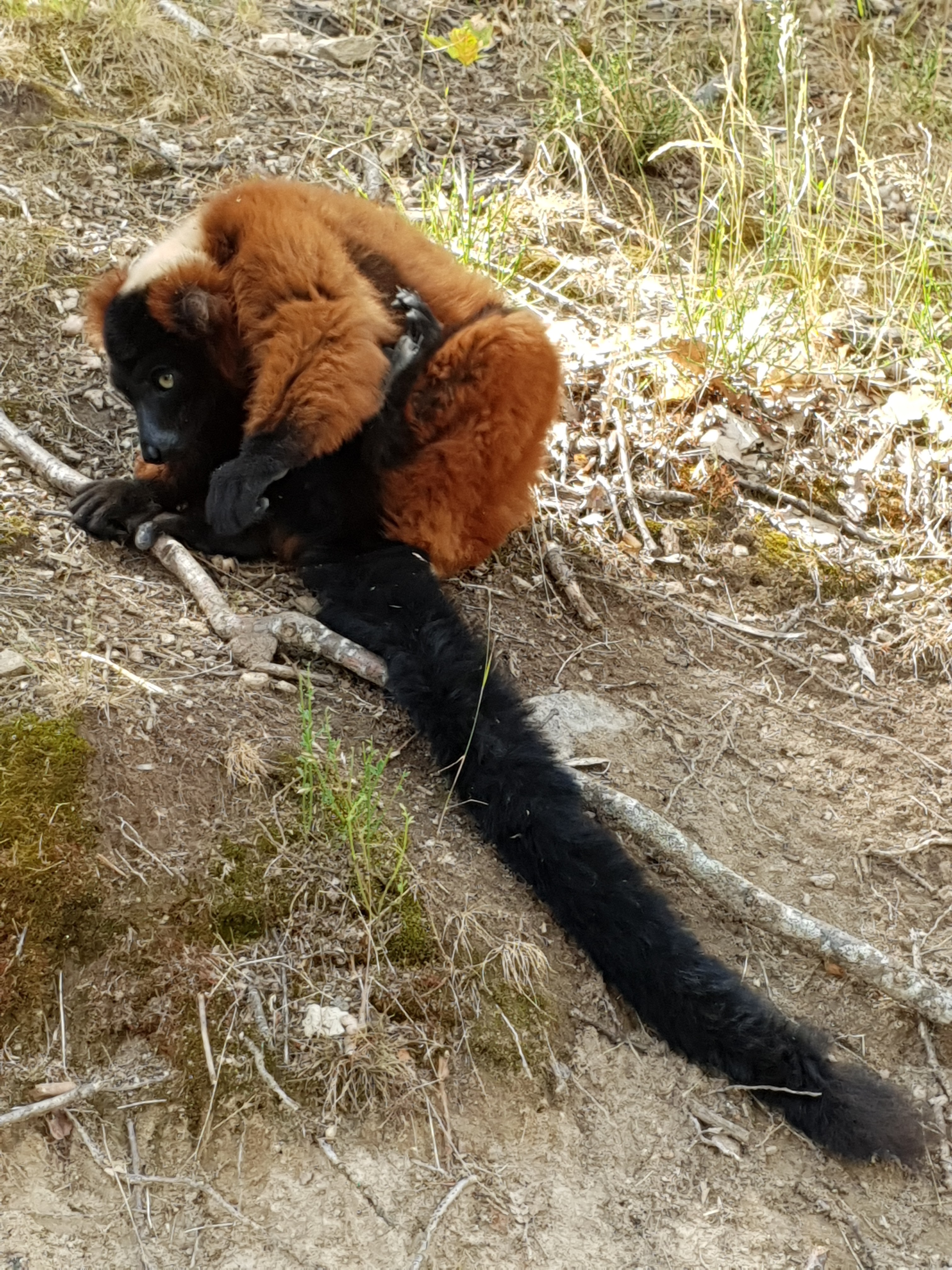 Photo n° 16 de l'avis de Katia.I fait le 03/08/2019 à 22:20