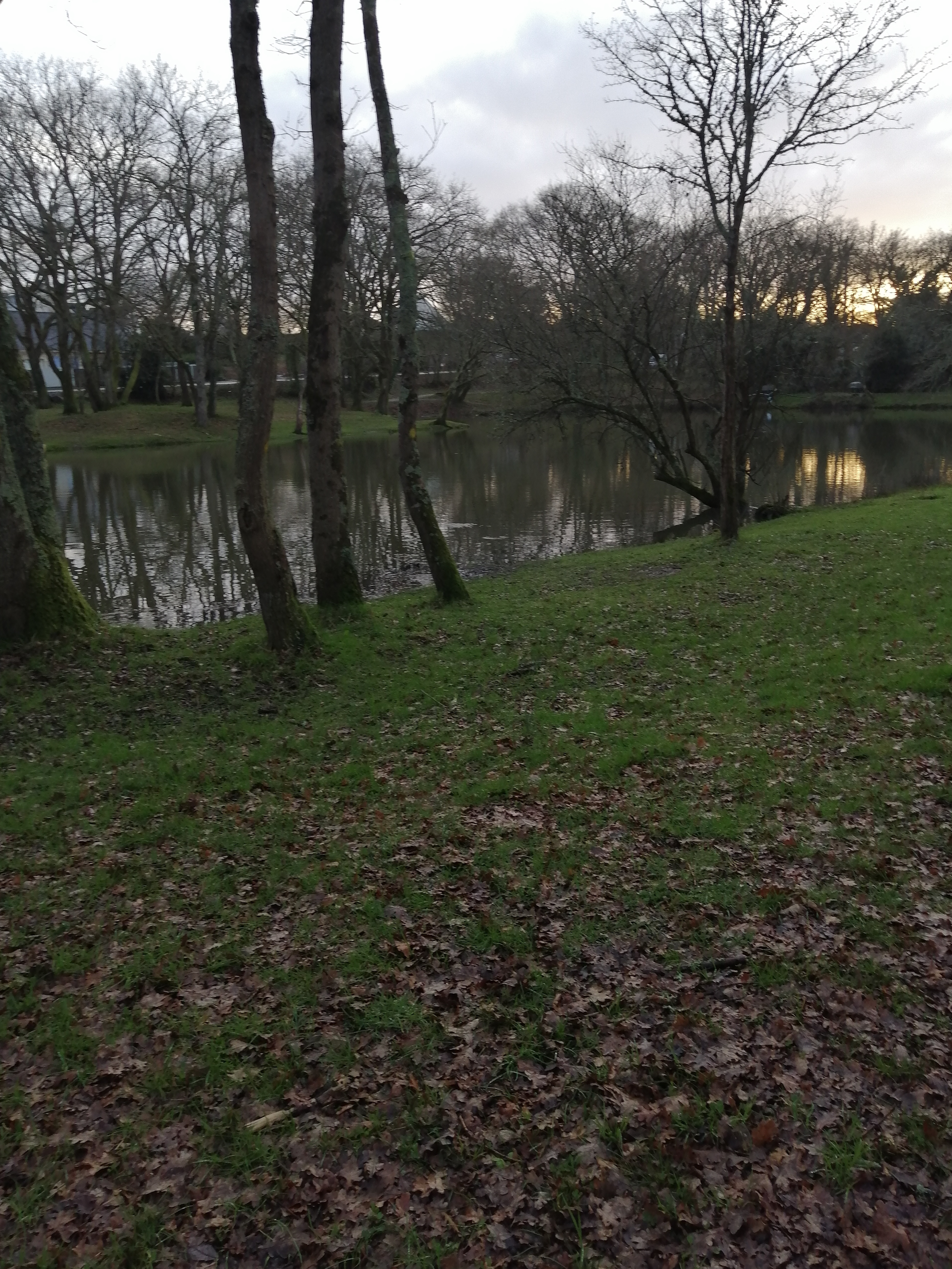 Photo n° 14 de l'avis de Pierre.i fait le 28/01/2020 à 16:51