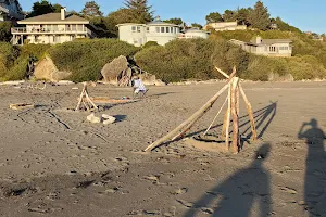 Harris Beach State Park Campground image