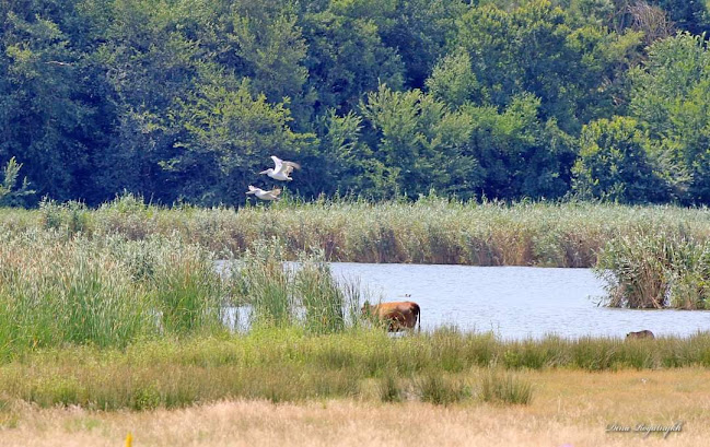 Местност "Ятата" - Варна