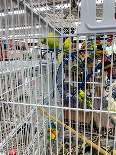 Pet Supply Store «Pet Supermarket», reviews and photos, 1125 Royal Palm Beach Blvd, Royal Palm Beach, FL 33411, USA