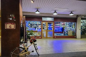 陽光空氣水族館Aqua shop image