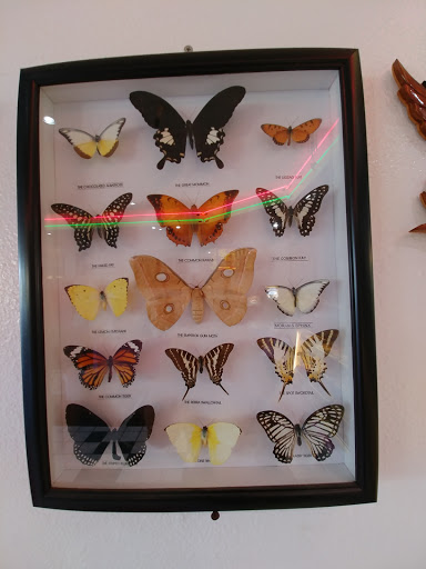 Donut Shop «Donut Club», reviews and photos, 861 W Arrow Hwy, San Dimas, CA 91773, USA