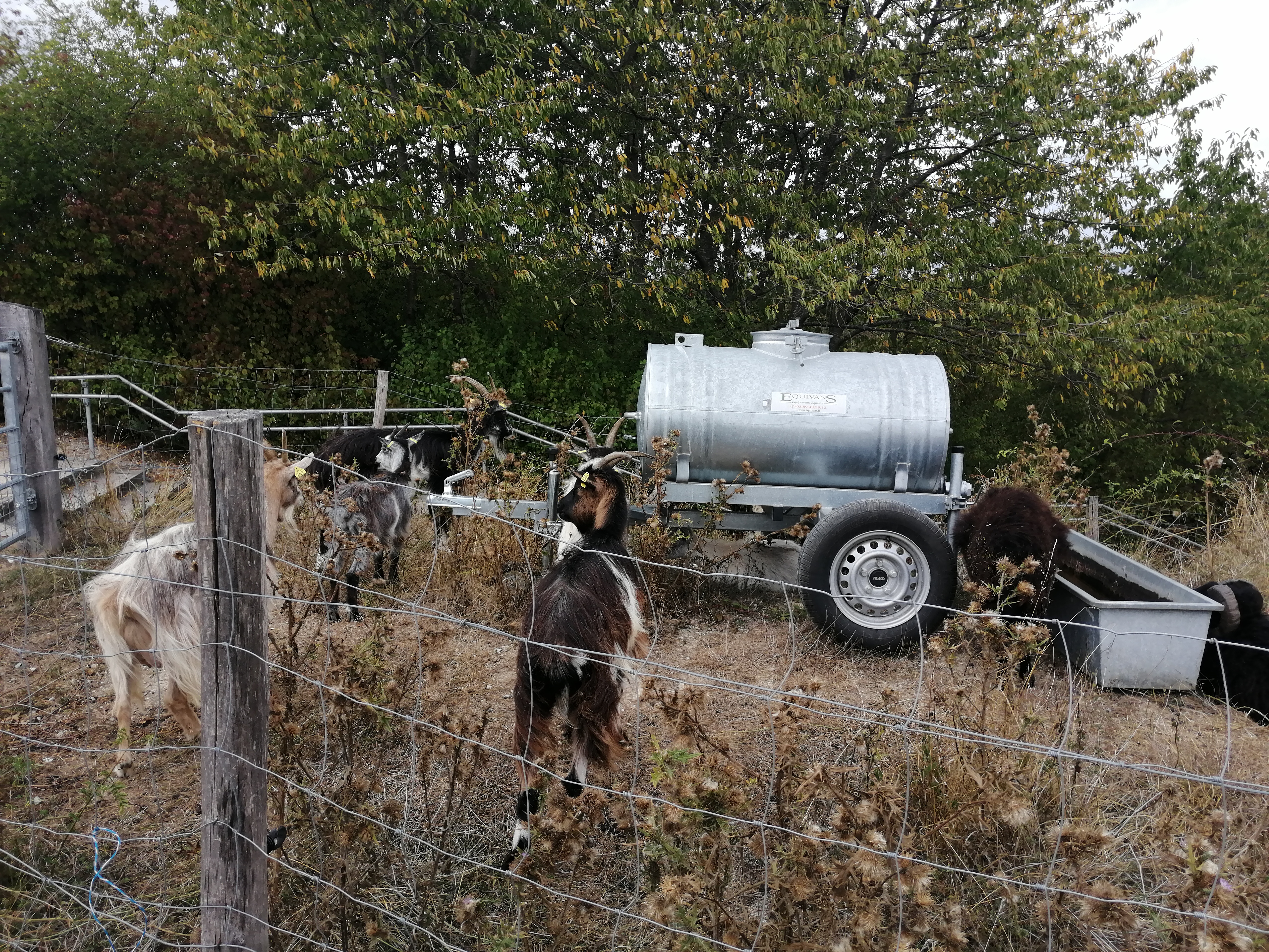 Photo n° 2 de l'avis de Pierre. fait le 23/09/2020 à 20:23