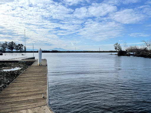 Marina «Bullfrog Marina», reviews and photos, 17251 Bacon Island Rd, Stockton, CA 95219, USA