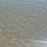 Photo n°3 de l'avis de Mario.u fait le 24/08/2017 à 12:57 sur le  Grande Albergo Miramare à Formia