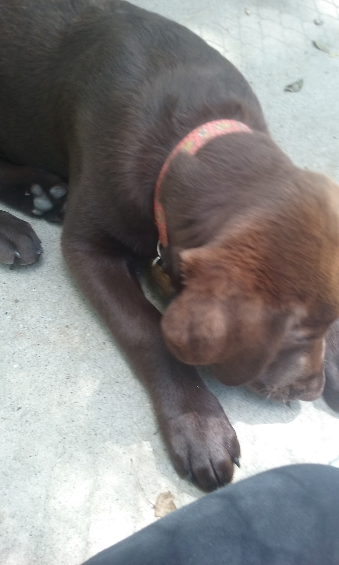 Browns Lake Yacht Club