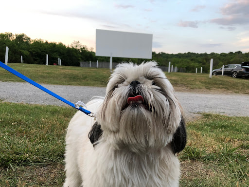 Drive-in Movie Theater «Stardust Drive In Theatre», reviews and photos, 310 Purple Tiger Dr, Watertown, TN 37184, USA