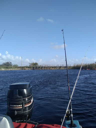 Nature Preserve «Chapel Trail Nature Preserve», reviews and photos, 19800 Sheridan St, Fort Lauderdale, FL 33332, USA